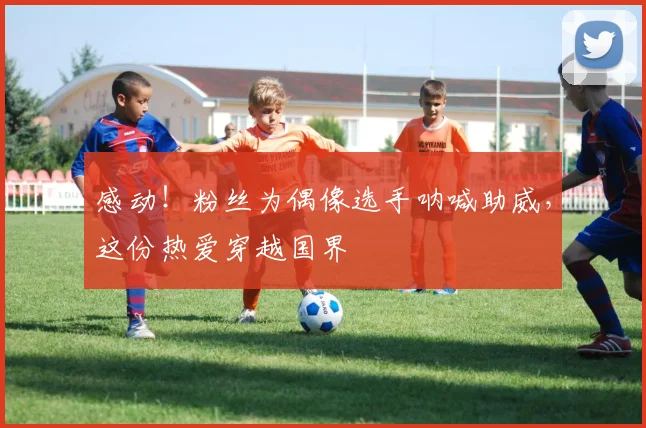 感动！粉丝为偶像选手呐喊助威，这份热爱穿越国界