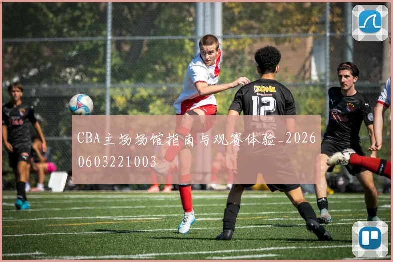 CBA主场场馆指南与观赛体验_20260603221003