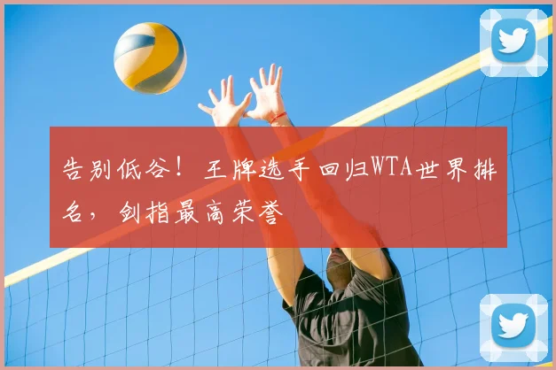 告别低谷！王牌选手回归WTA世界排名，剑指最高荣誉