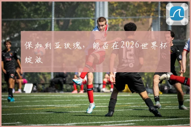 保加利亚玫瑰，能否在2026世界杯绽放