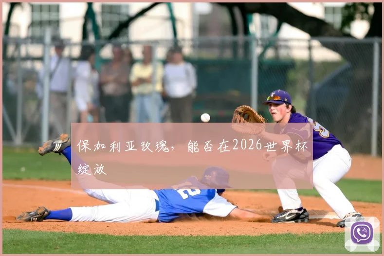 保加利亚玫瑰，能否在2026世界杯绽放